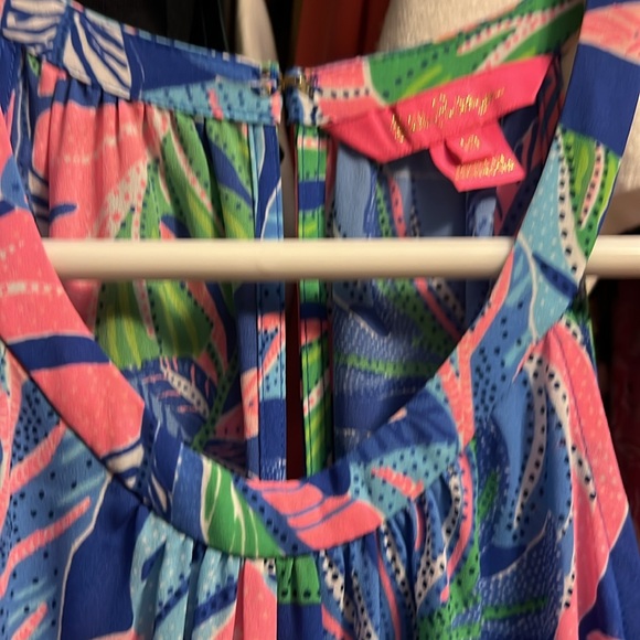 Lilly Pulitzer Dress - Picture 4 of 5